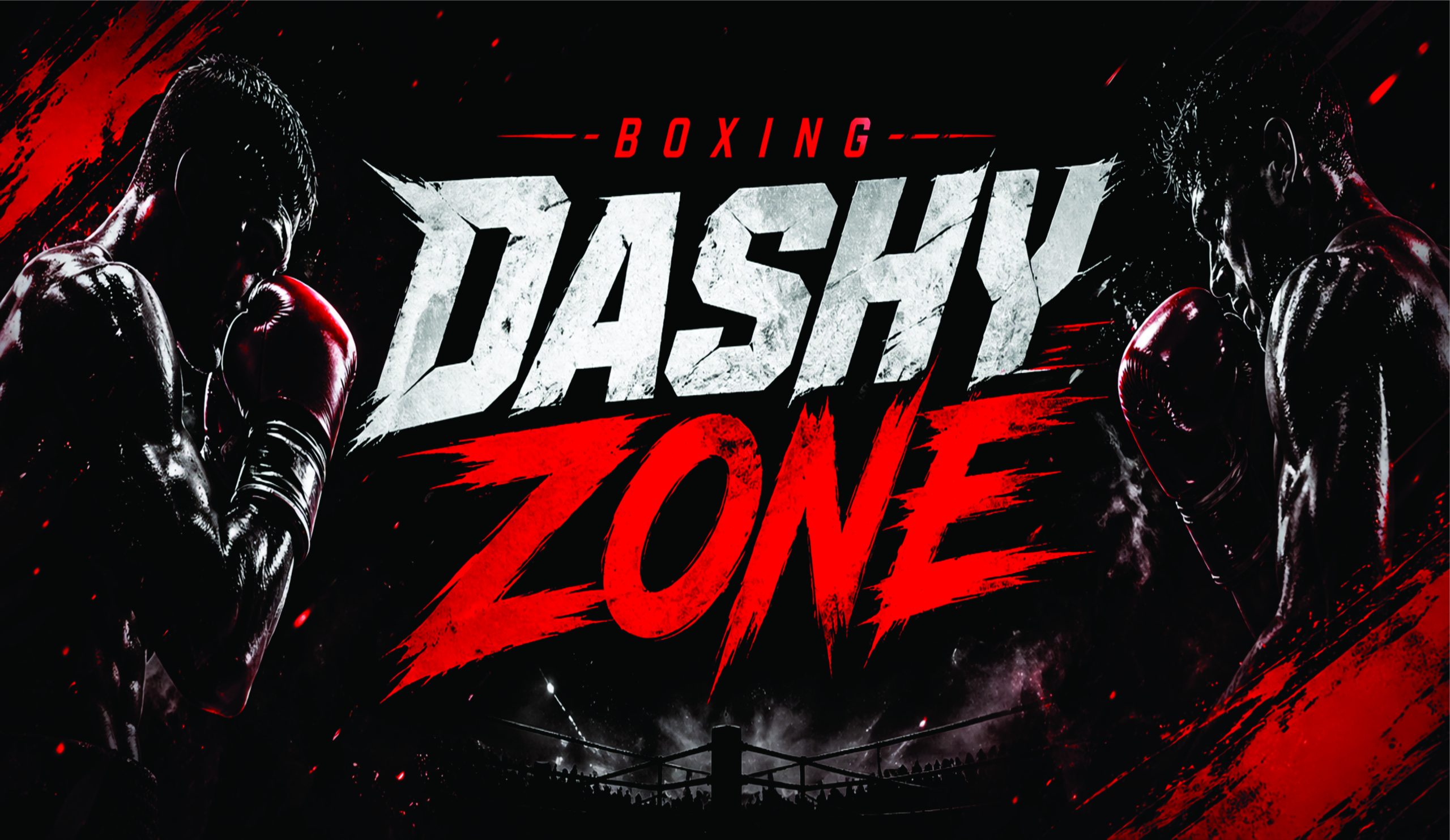 dashy zone banner 2 new