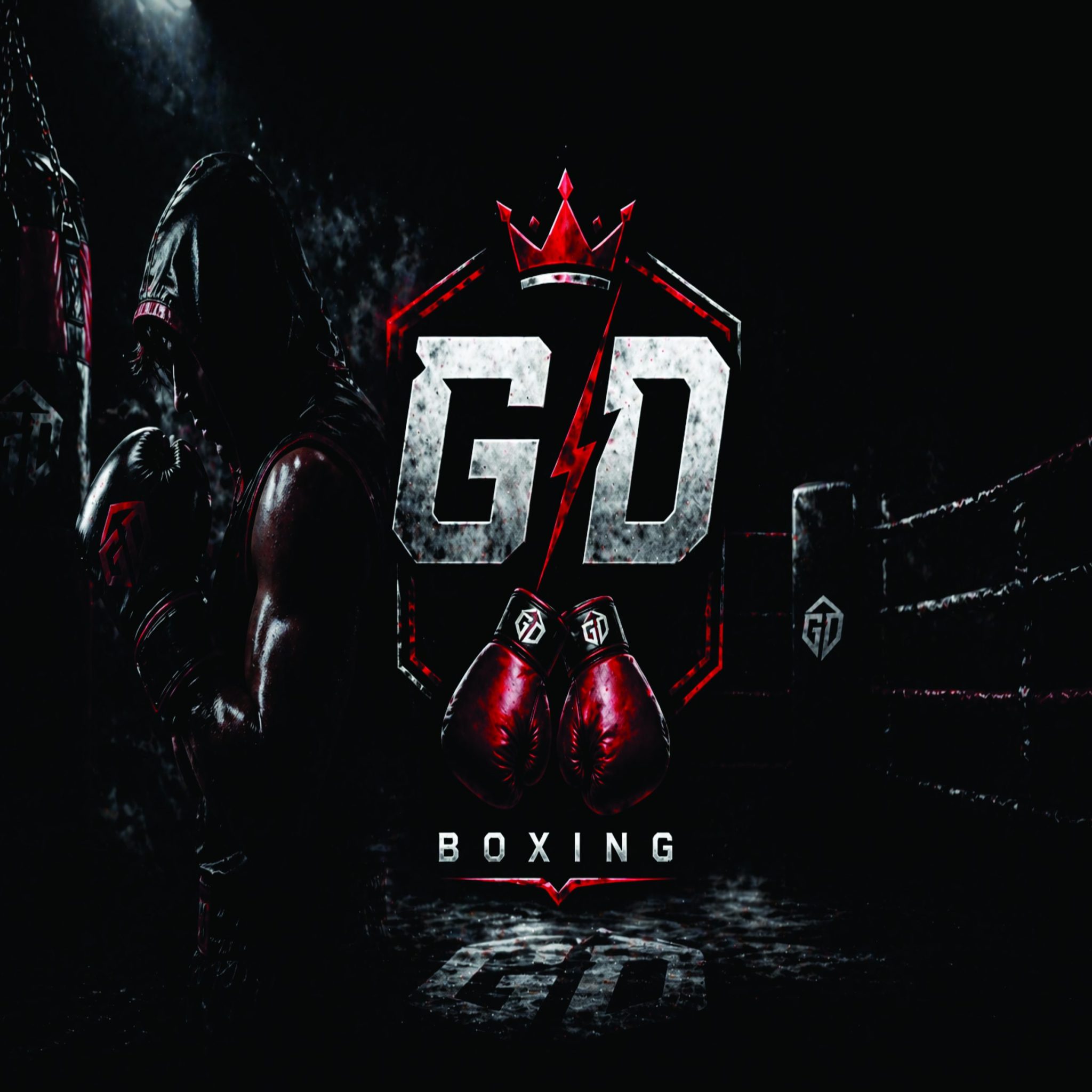 gd boxing dashy zone